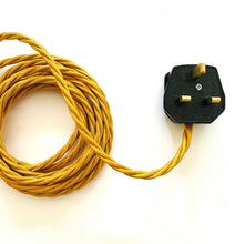 Load image into Gallery viewer, Antique Delfia Lamp